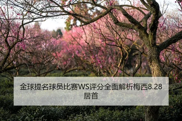 金球提名球员比赛WS评分全面解析梅西8.28居首